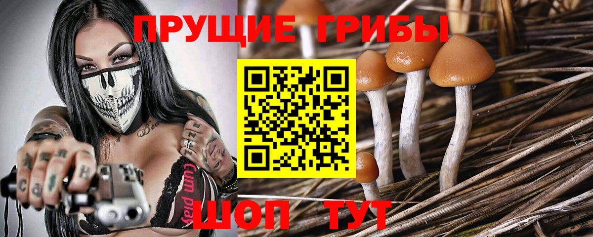 Галлюциногенные грибы GOLDEN TEACHER Топки