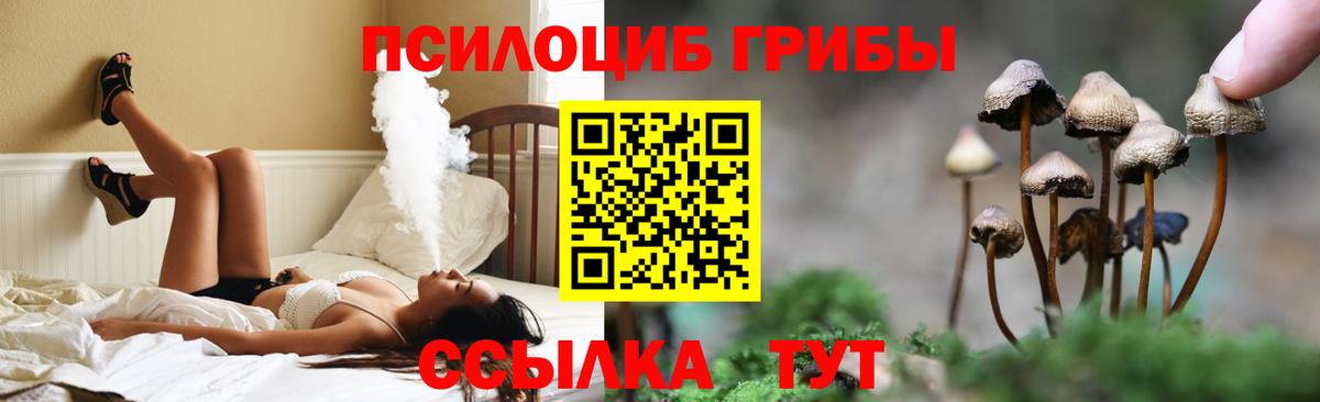 Галлюциногенные грибы Psilocybe  Вход с VPN  Топки  купить   Псилоцибиновые грибы мухоморы 