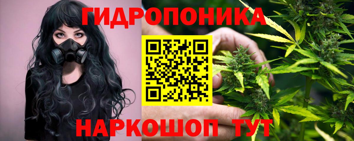 Каннабис план  Бошки Шишки White Widow  Топки  Вход с VPN 